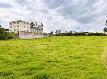 Terreno / Lote · 2670m² · Venta de Terreno - Sector Pintag