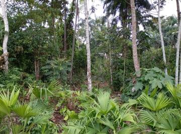Terreno / Lote , Tena · Terreno Turístico en La Ciudad de Tena