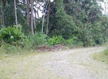 Terreno / Lote , Tena · Terreno Turístico en La Ciudad de Tena