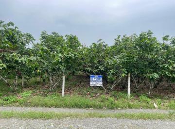 Terreno en venta en La Troncal- Cañar · Vendo Terreno en El Cantón La Troncal
