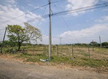 Terreno / Lote , Guayaquil · Terreno en Venta E 24 Ha en Vía a Daule, Entre Km²0 - 30