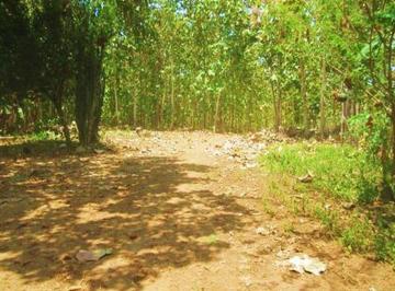Terreno / Lote , Balzar · Venta Hacienda Agrícola 60 Ha Balzar Frente Vía