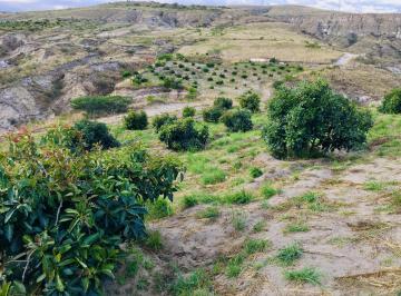 Terreno / Lote · 10000m² · Jal. Venta Terreno Cerca a Guayllabamba 10.000 m² 120 Árboles de Aguacate