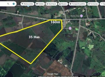 Terreno / Lote , Guayaquil · Venta Terreno 350.000 m², Via a Los Lojas, Se Ingresa Desde Vía a Salitre Km 12, por Vía Asfaltada