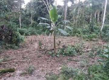 Terreno / Lote , Tena · Terreno de Venta - Sector Parroquia Pano - Tena