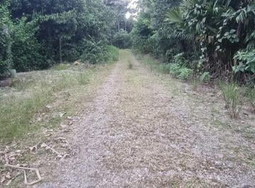 Terreno / Lote , Tena · Terreno de Venta - Sector Parroquia Pano - Tena