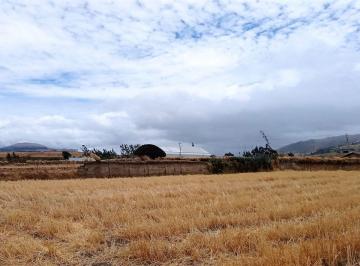 Terreno / Lote , Cayambe · Terreno 1527 m² Esquinero Sector Olmedo, Cayambe