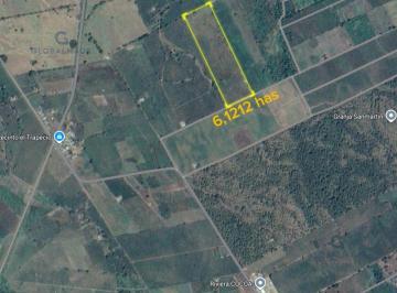 Hacienda-Quinta · 61200m² · Venta Finca Cacaotera en Recinto El Trapecio Babahoyo, 6,12 Ha, E. J.