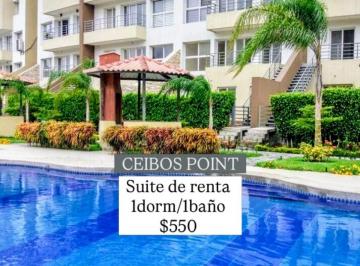 Suite de 1 habitación, Guayaquil · 6783.ceibos Point, Alquilo Suite 1 Dormitorio $550.