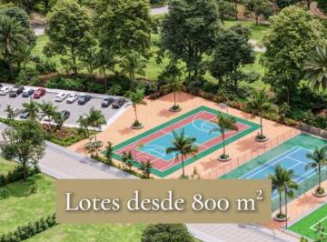 Terreno / Lote , Pedro Vicente Maldonado · Terrenos de Venta Urbanizados en Puerto Quito, con Crédito Directo y Sin Intereses