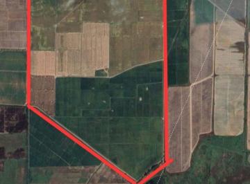 Hacienda-Quinta , La Troncal · En Venta Hacienda de 145 Hectáreas, Vía Puerto Inca - La Troncal, Suelo Nivelado [yafar]