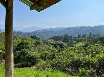 Hacienda-Quinta de 6 habitaciones, Los Bancos · Nanegalito Finca de Venta 43 Hectáreas