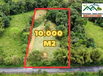Terreno / Lote , Los Bancos · Terreno de 10,000 m² en San Miguel de Los Bancos