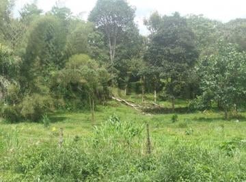 Terreno / Lote · 1m² · Se Vende Lotes de Terreno Sobre Via Principal Mindo