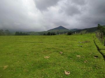 Hacienda-Quinta , Quito · Vendo Hacienda Pifo
