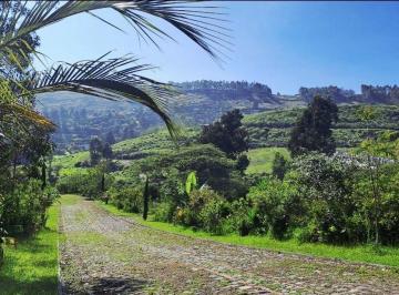 Terreno / Lote , Quito · Se Vende Terreno 1250 Mt Tumbaco