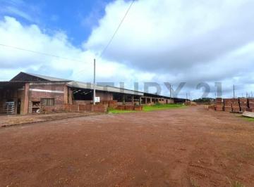 Local comercial · 20799m² · Venta de Terreno, Galpones y Oficinas en Petrillo, Nobol J. Zav