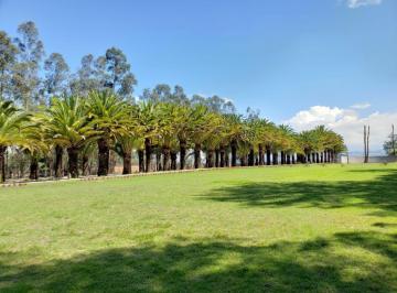 Terreno / Lote · 1246m² · Venta Terreno en Puembo