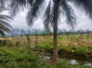 Terreno / Lote · 30000m² · Venta de Terreno en Sosote - Rocafuerte Perfecto Para Cultivo de Ciclo Corto