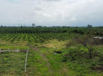 Terreno / Lote · 16600m² · Terreno en Venta en Yaguachi Ings