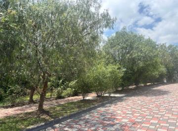 Terreno / Lote , Quito · Terreno de 1011 m² en Venta en Tumbaco en Urbanización
