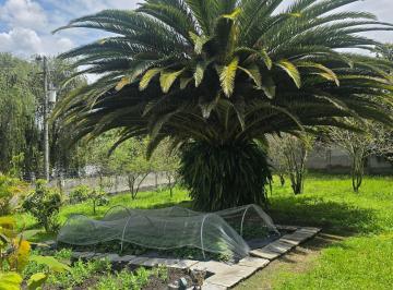 Terreno / Lote · 5264m² · En Tumbaco Venta
