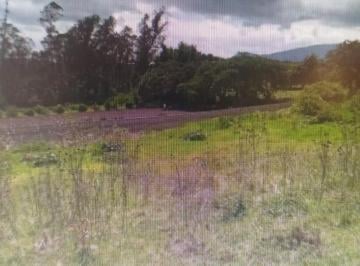 Terreno / Lote · 450m² · Mindo - Excelente Terreno de 450 m² en Venta