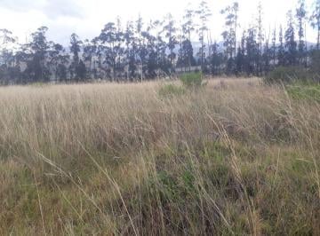 Terreno / Lote · 1m² · Venta Terreno Solanda, San Bartolo 2'000.000