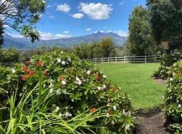 Hacienda-Quinta de 5 habitaciones, Machachi · Vendo Hacienda Agrícola Ganadera de 82 Ha Vía Aloag - Santo Domingo $50.000 Cada Hectárea