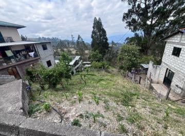 Terreno / Lote , Azogues · Terreno + Casa Azogues 3.800 m² Sector Vegapamba