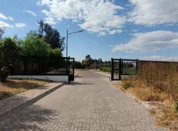 Terreno / Lote , Quito · Venta de Terreno Sector Tumbaco