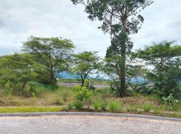 Terreno / Lote · 1145m² · Venta en Tumbaco de Terreno Collaquí en Urbanización de Primera