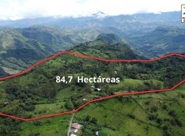 Terreno / Lote , Quito · Finca/hacienda de 84.7 Hectáreas en La Armenia