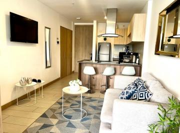 Departamento · 55m² · 1 Habitación · 1 Estacionamiento · Ba - Sector La Carolina en Renta Suite 55 m² Mas Balcon