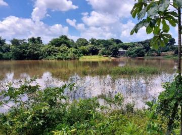 Hacienda-Quinta , Puebloviejo · Venta de Hacienda Productiva – 202 Ha en Puebloviejo, Los Ríos