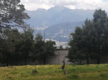 Terreno / Lote , Quito · Oportunidad Venta Terreno Tumbaco Ideal Para Constructor 7.417 m.