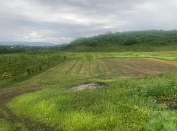 Terreno / Lote , Rocafuerte · Vendo Terreno de 6.76 Ha Vía Rocafuerte - Manta