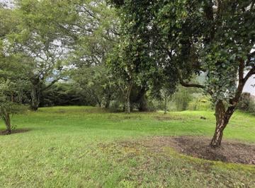 Terreno / Lote · 1174m² · Terreno en Venta en Urbanización Los Arrayanes – Exclusividad, Privacidad y Alta Valorización