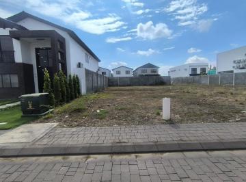 Terreno / Lote · 252m² · Terreno en Venta, Isla Celeste Babor Maxb