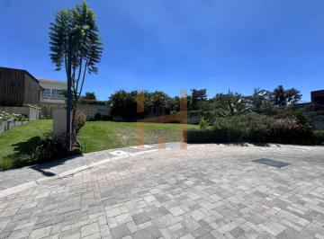 Terreno / Lote , Quito · Terreno de Venta en Puembo Cerca Al Club Arrayanes,635 m², Plano, Urbanización Privada, Piscina.