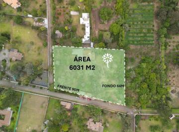 Terreno / Lote · 330m² · Terreno de Venta, Puembo La Palma Polo Club, 6031 m²