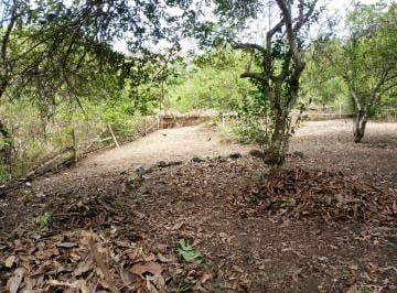 Terreno / Lote , Jama · Terreno en Venta Sector de Tabuga, Pedernales