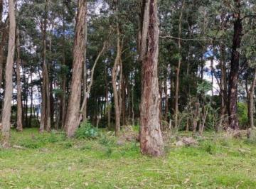 Terreno / Lote , Quito · Terreno en Venta 5.000 m² Para Constructores, Inversionistas, Etc
