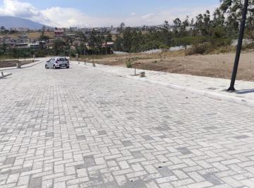 Terreno / Lote · 12700000ha · Terreno en Venta en Conjunto Privado de 41 Lotes en Llano Chico Sector La Delicia