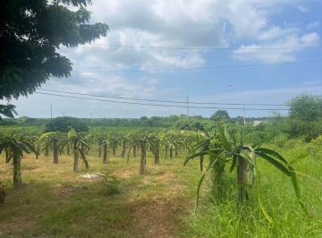 Terreno / Lote , Playas · Venta Terreno de 120.000 m² en El Morro, Cantón Guayaquil, Sur de Playas