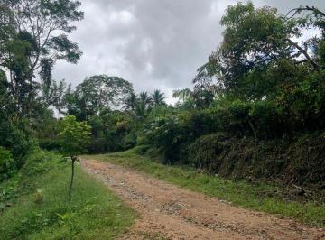 Hacienda-Quinta de 2 habitaciones, Puerto Quito · Vendo Finca de Cacao Puerto Quito