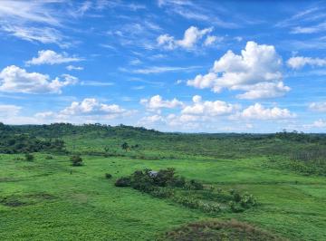 Hacienda-Quinta · 700000m² · Finca en Venta, 70 Ha - Pedro Carbo, Prov. Guayas