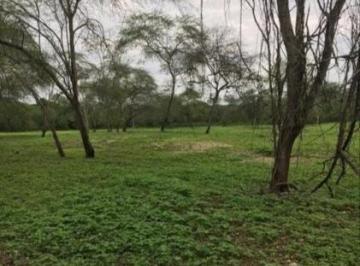 Terreno / Lote · 660000m² · Hacienda en Santa Elena Cacao, Maiz, Platano y Ganadería
