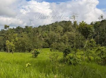 Terreno / Lote , Pedro Vicente Maldonado · Terreno de 25000 m² (2.5 Hectáreas) en Venta en Pedro Vicente Maldonado