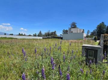 Terreno / Lote , Quito · Vendo Terreno Plano en Puembo Sector Colegio Americano